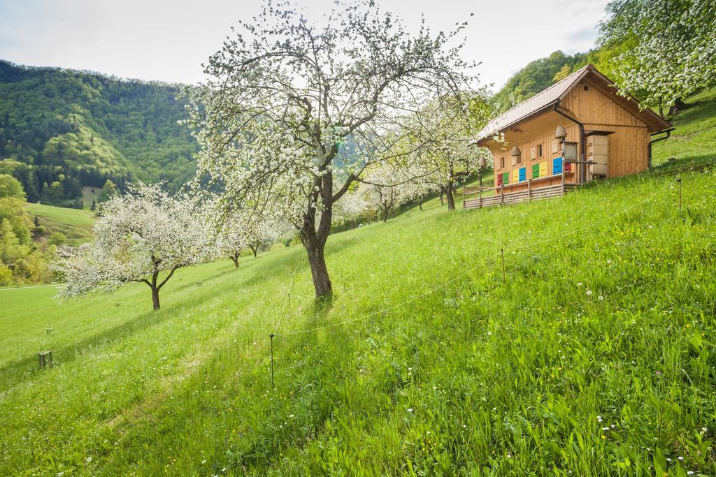 Tourist Farm Zelinc Villa Cerkno Exteriör bild