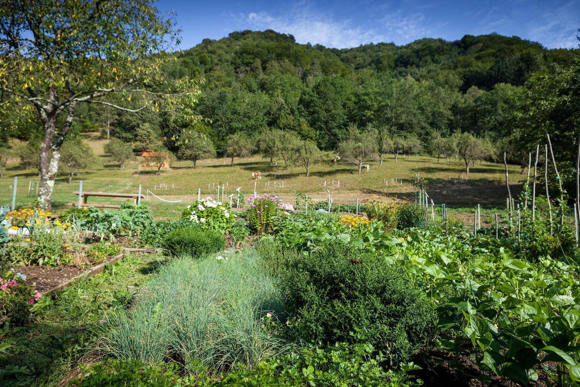 Tourist Farm Zelinc Villa Cerkno Exteriör bild