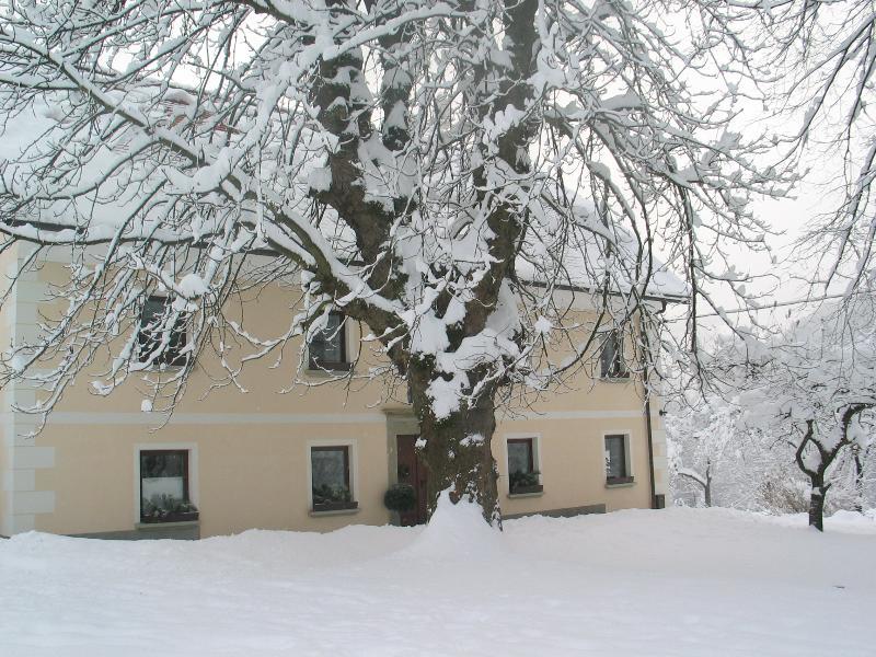 Tourist Farm Zelinc Villa Cerkno Exteriör bild